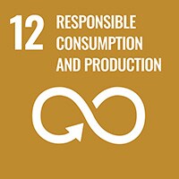 SDG - Responsible consumption and production