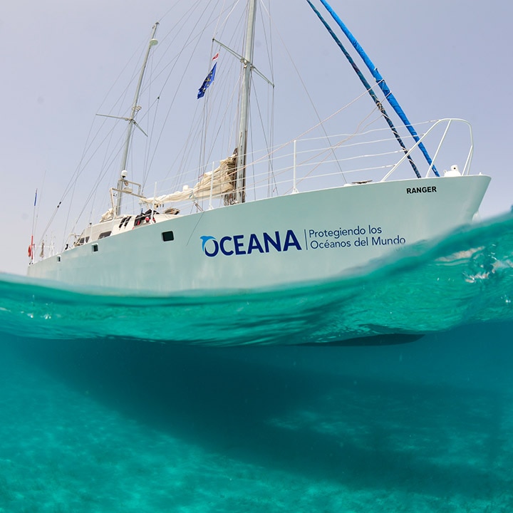 Oceana and Blancpain Announce Exclusive Partnership