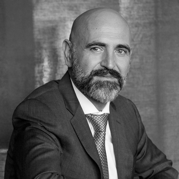 Dr. h.c. Marc Alexander Hayek