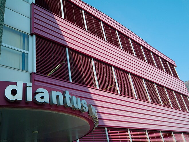 Diantus Watch Ltd. Swatch Group