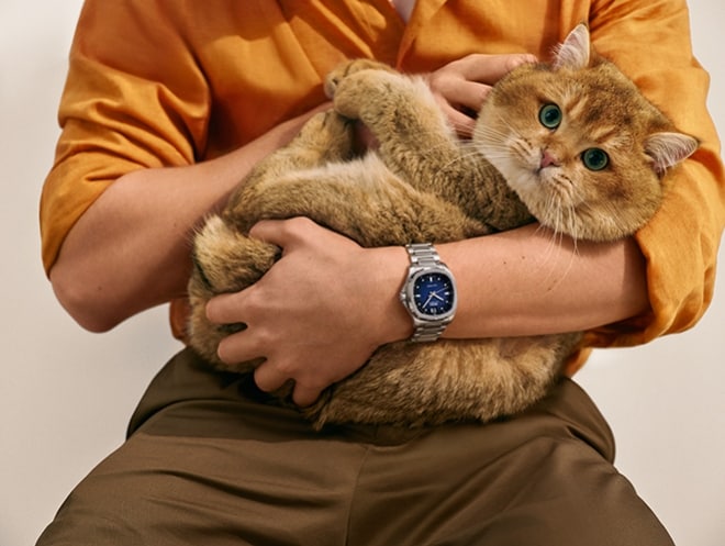 Mido watches