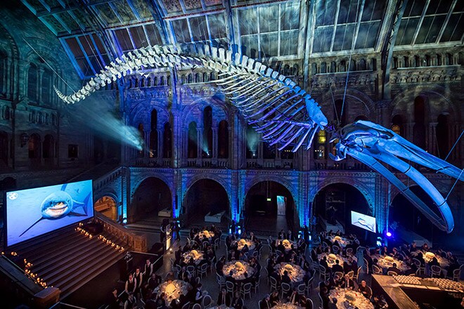 Blancpain at the Natural History Museum in London
