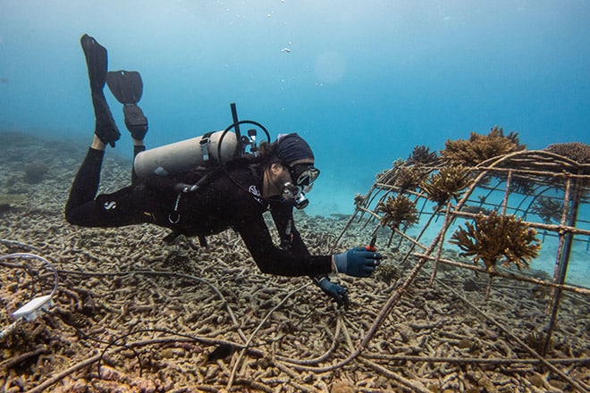 Blancpain Ocean Commitment