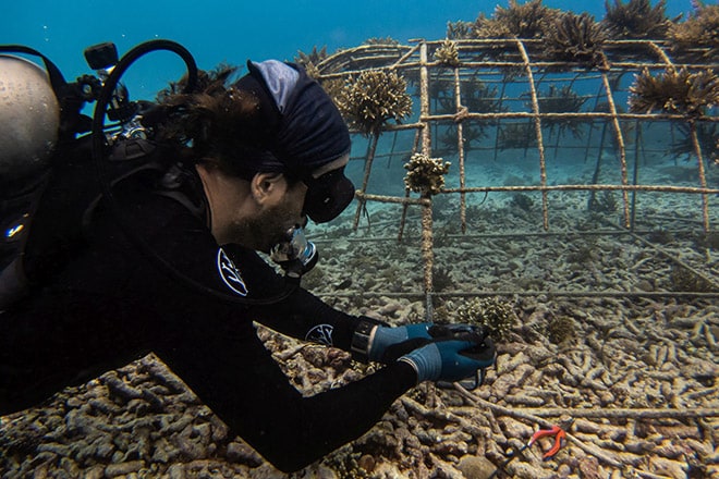 Blancpain Ocean Commitment