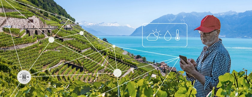 Swiss-designed technology for green wireless IoT sensor networks
