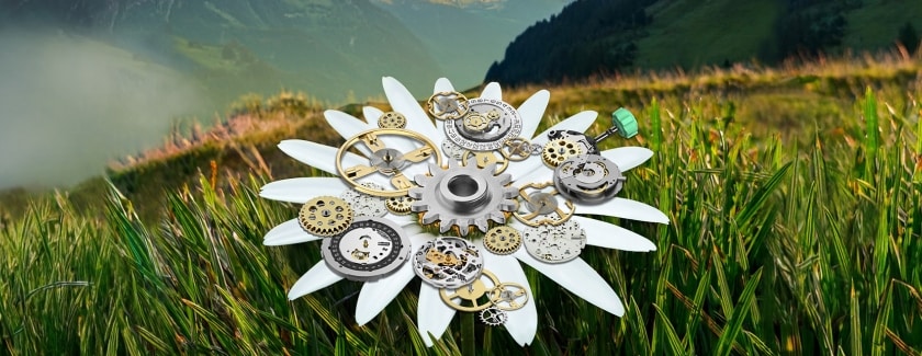 Swatch Group Annual Report