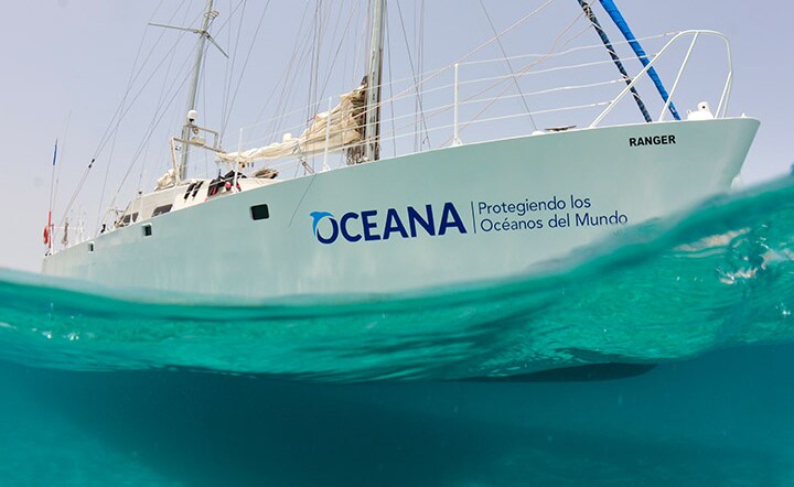 Oceana and Blancpain Announce Exclusive Partnership