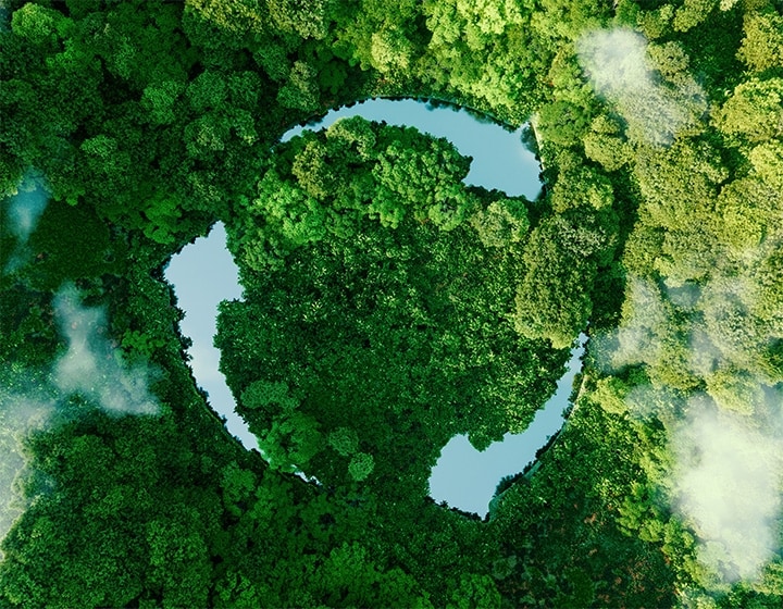 Sustainability