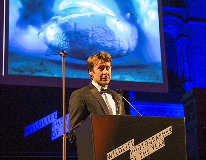 Laurent Ballesta gewinnt den Wettbewerb Wildlife Photographer of the Year