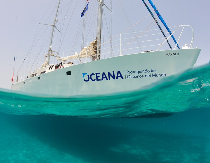 Oceana und Blancpain geben eine exklusive Partnerschaft bekannt