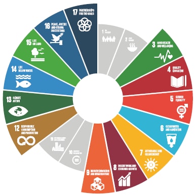 Sustainable Development Goals
