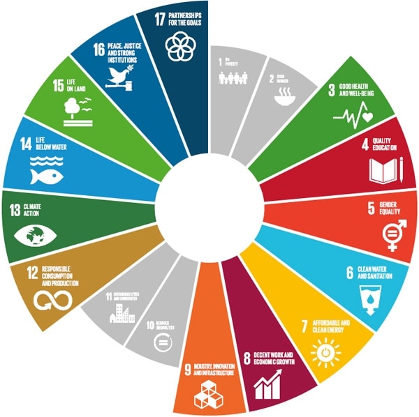 Sustainability Report and Social Policy