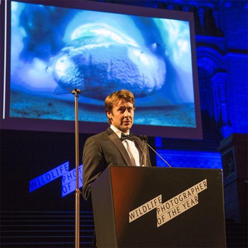 Laurent Ballesta wins the Wildlife Photographer of the Year