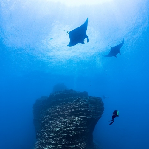 Blancpain and PADI join forces to help protect  30% of the ocean by 2030