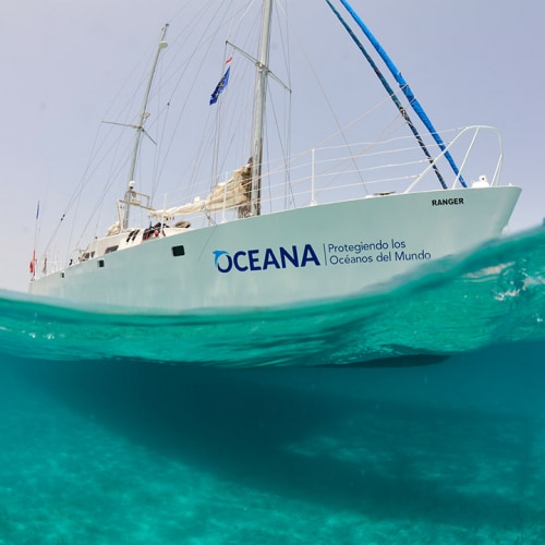 Oceana and Blancpain Announce Exclusive Partnership